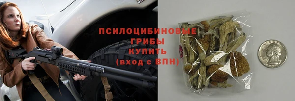 скорость Бородино