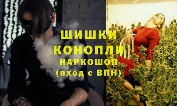 скорость Бородино
