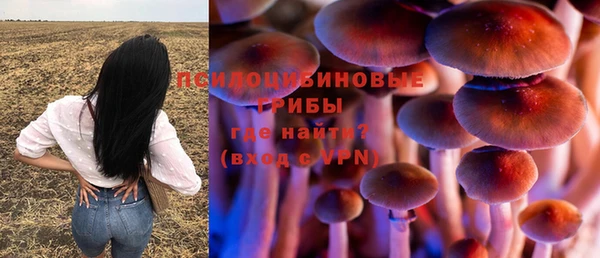 мескалин Бугульма