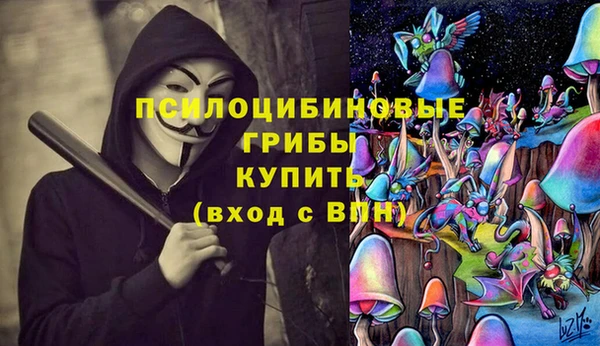скорость Бородино