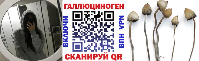купить наркотик  OMG вход  Галлюциногенные грибы мицелий  Бородино 